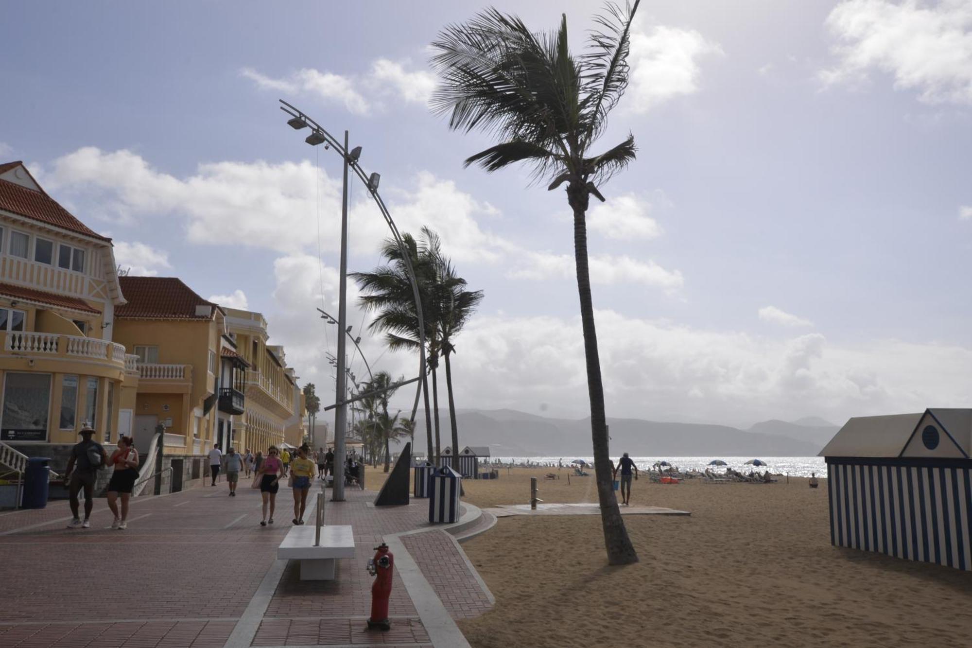 Apartamento Maralma Las Palmas de Gran Canárias Exterior foto